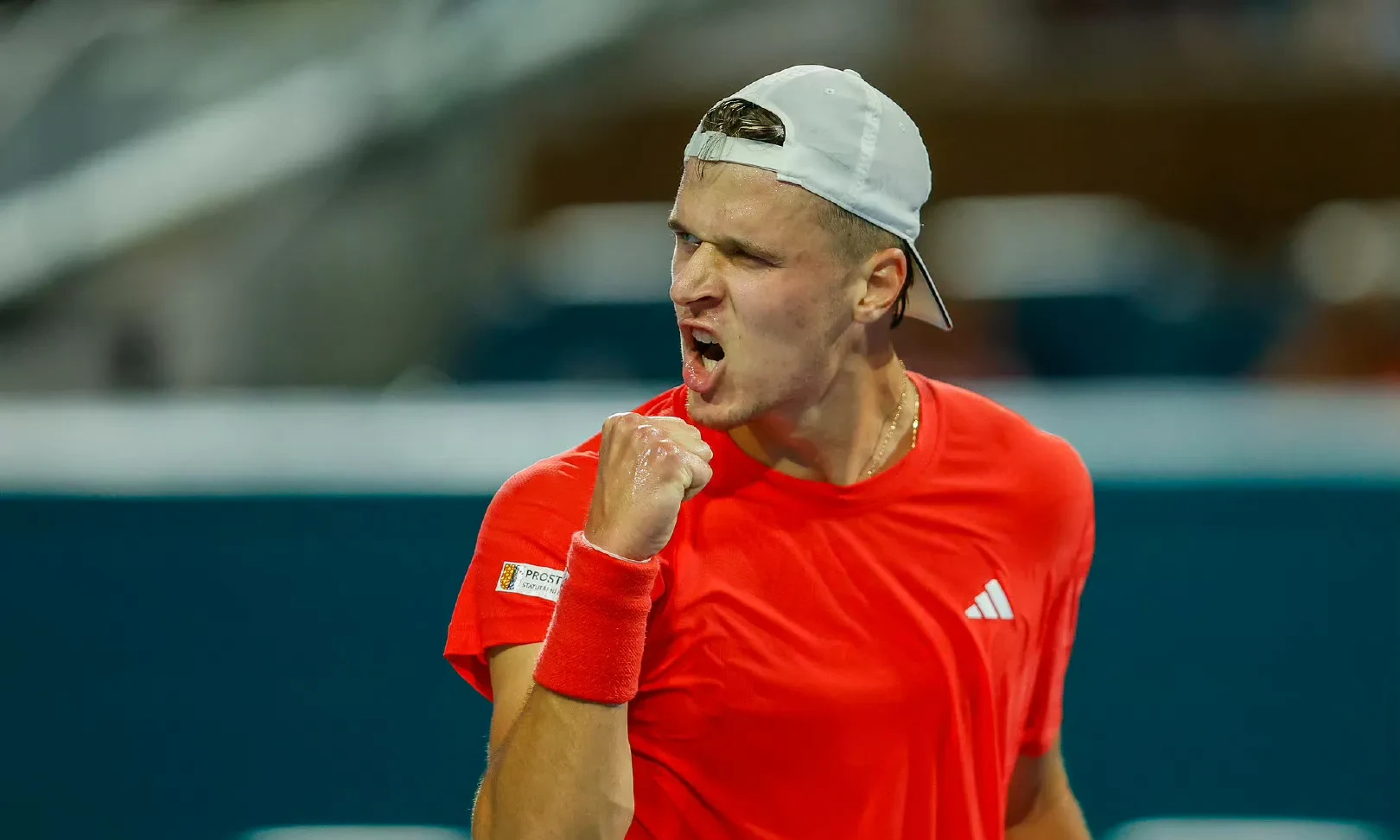 kaiyun sports-德约科维奇新星重返赛场表现突出，雄鹿前途光明！赢得满堂喝彩-kaiyun sports